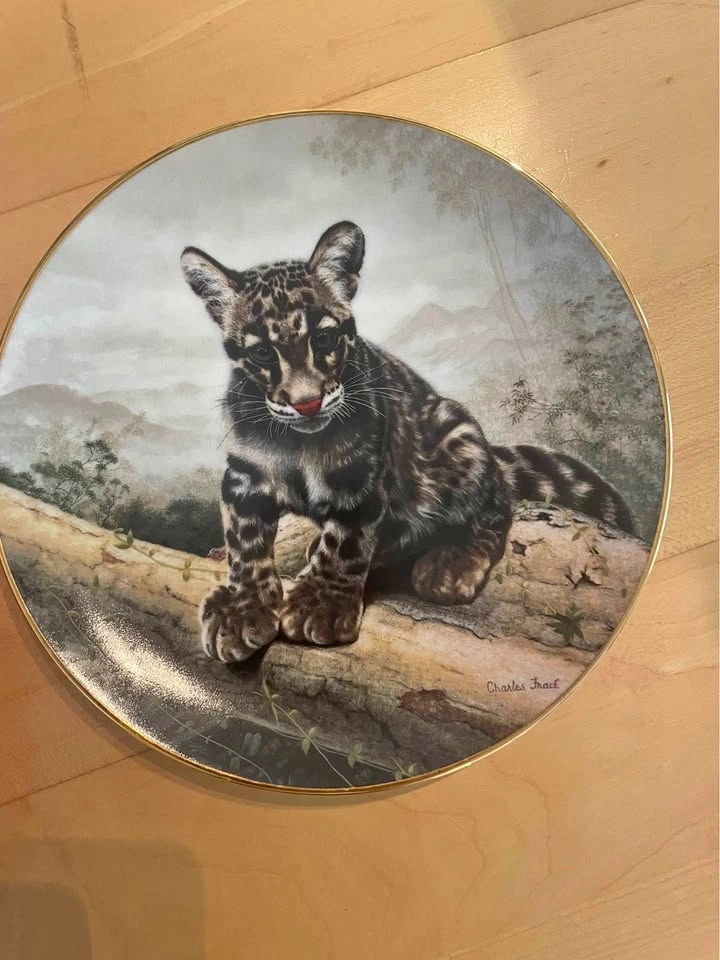 Charles Fracé 'The Clouded Leopard Cub' Collector Plate