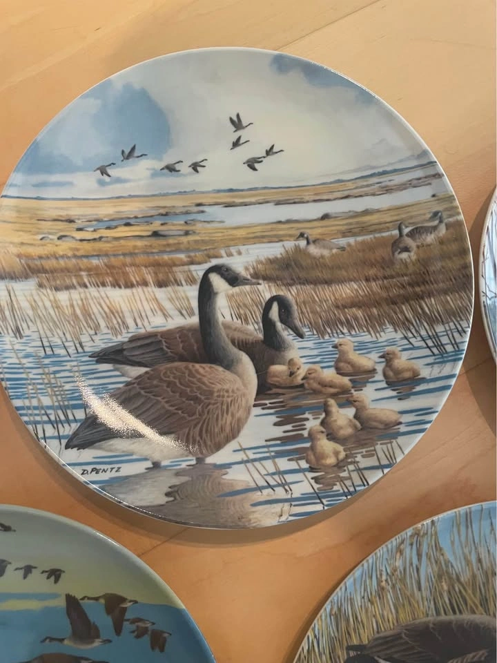 Set of 5 Donald Pentz Canada Geese Collector Plates - photo 3