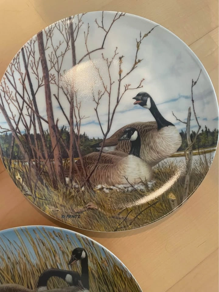 Set of 5 Donald Pentz Canada Geese Collector Plates - photo 4