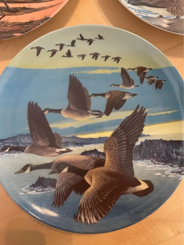 Set of 5 Donald Pentz Canada Geese Collector Plates - photo 5