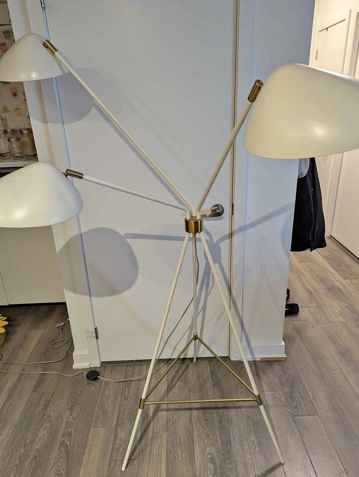 West Elm Curvilinear Mid-Century Floor Lamp