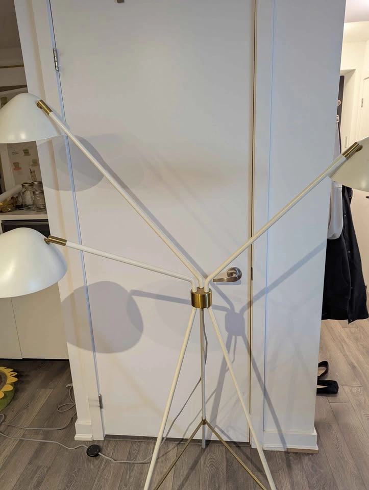 West Elm Curvilinear Mid-Century Floor Lamp - photo 3