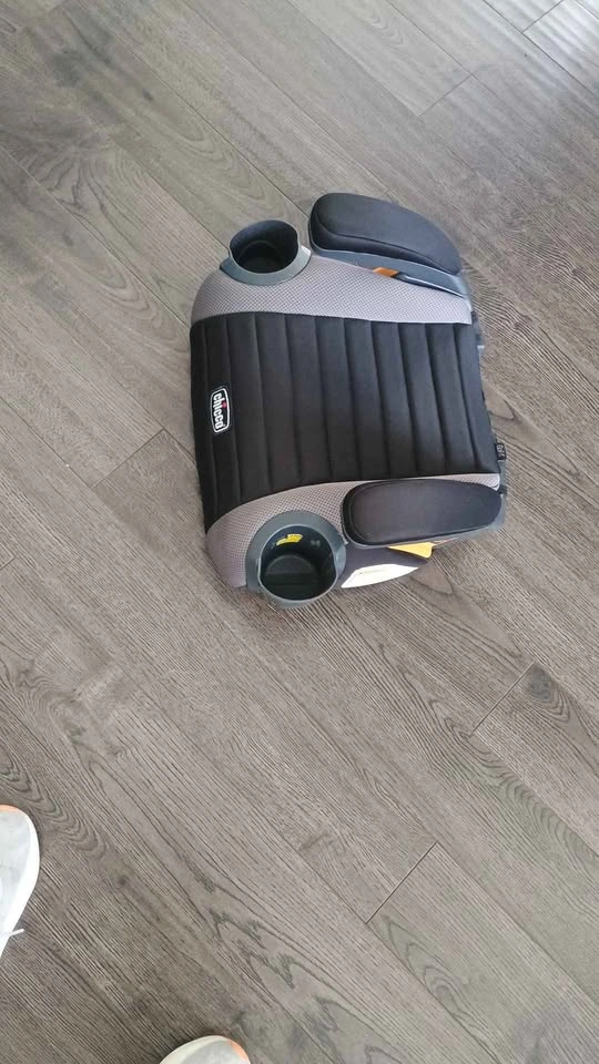 Booster Car Seat - photo 2