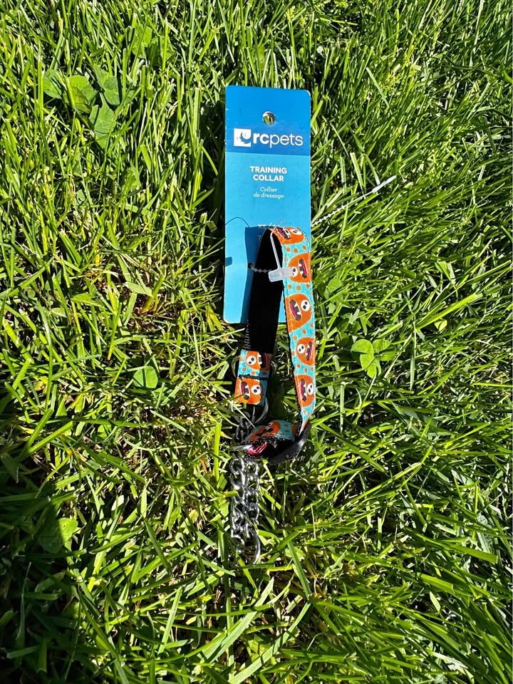 rcpets Training Collar Orange Blue Pattern