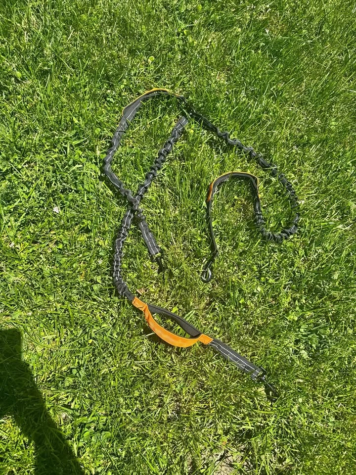 Black & Orange Reflective Bungee Dog Leash 3 dogs