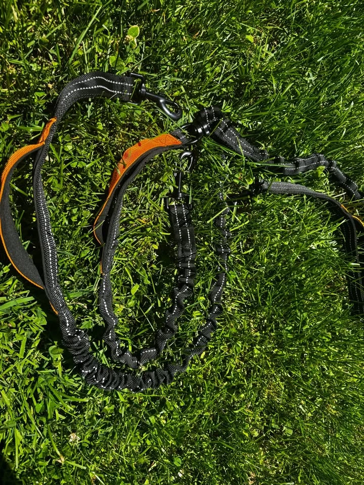 Black & Orange Reflective Bungee Dog Leash 3 dogs - photo 2