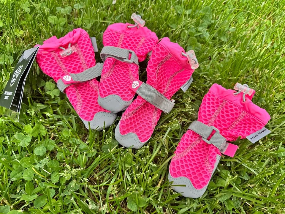 Size 2 Canada Pooch Hot Pavement Boots pink 4 boots
