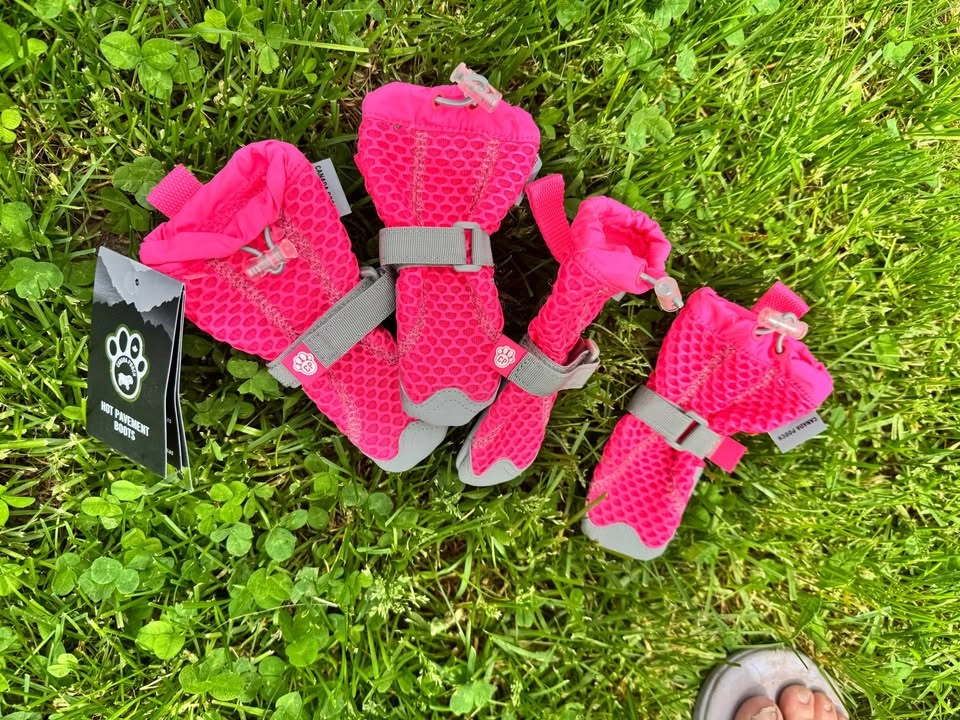 Size 2 Canada Pooch Hot Pavement Boots pink 4 boots - photo 2