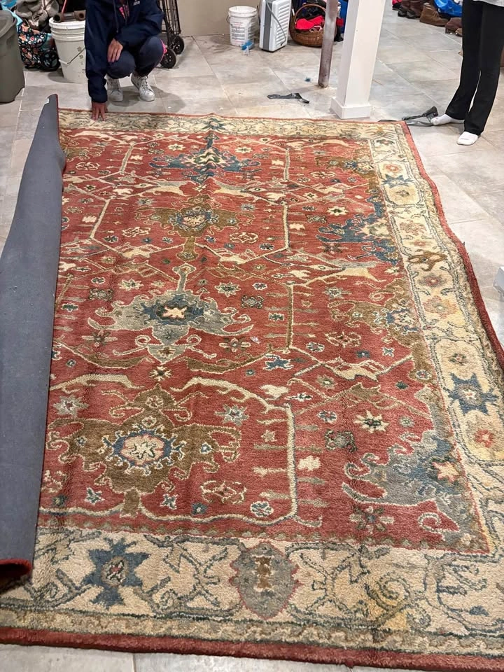 Pottery Barn Channing Hand Tufted Persian style wool rug red mul