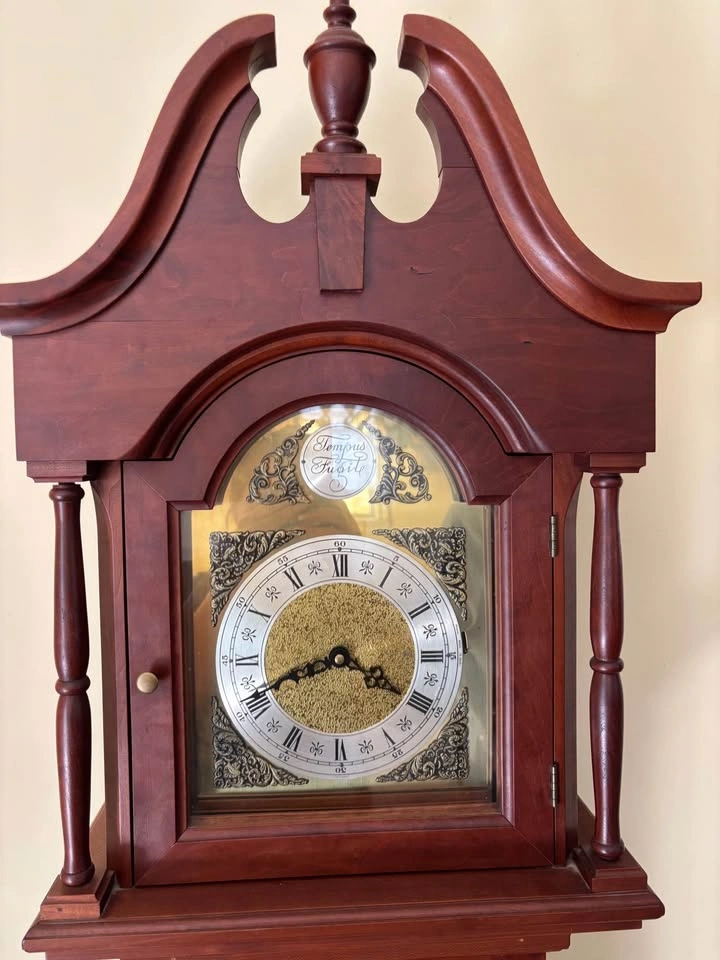 Vintage Tempus Fugit Grandfather Clock - wood case - photo 2