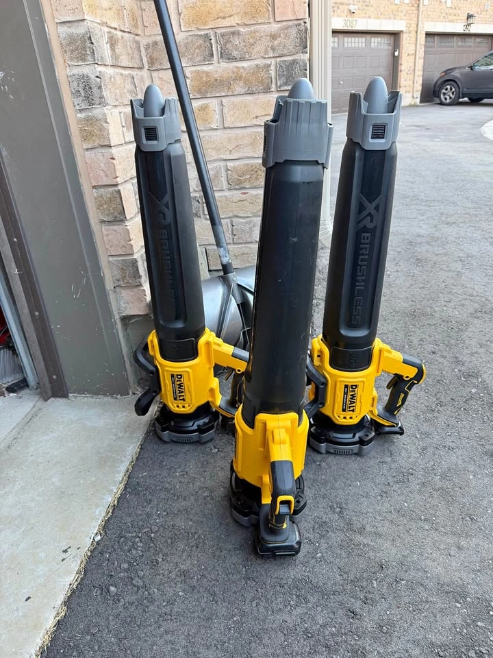 Dewalt 20V Blower