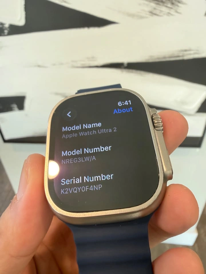 Apple Watch Ultra 2 Titanium with Blue Band - photo 5
