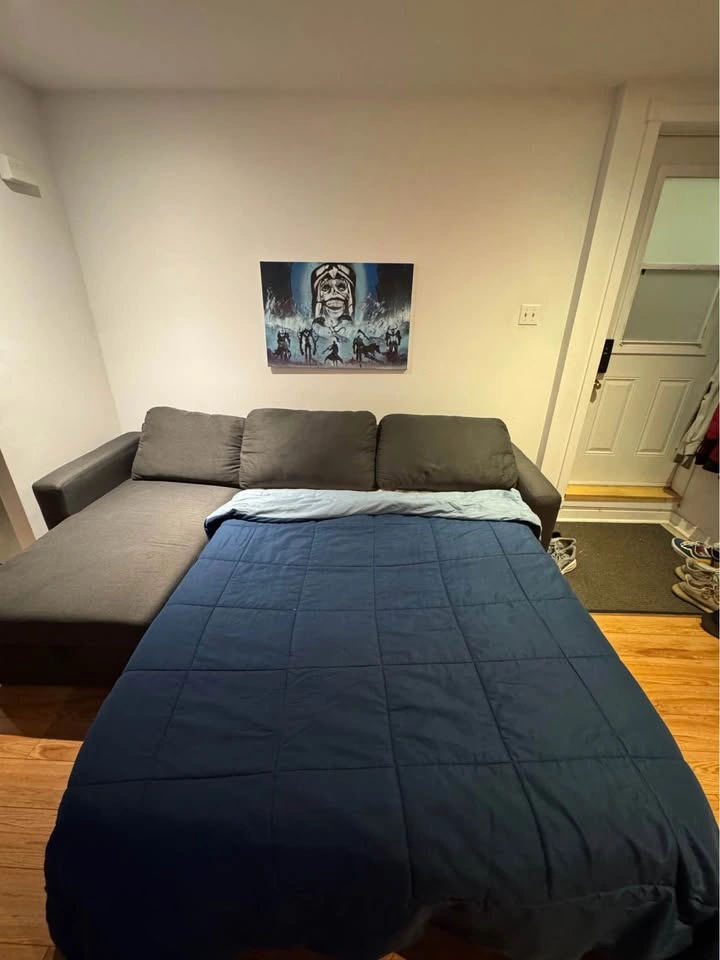 Sofa Bed / Pullout Couch with Storage - photo 2