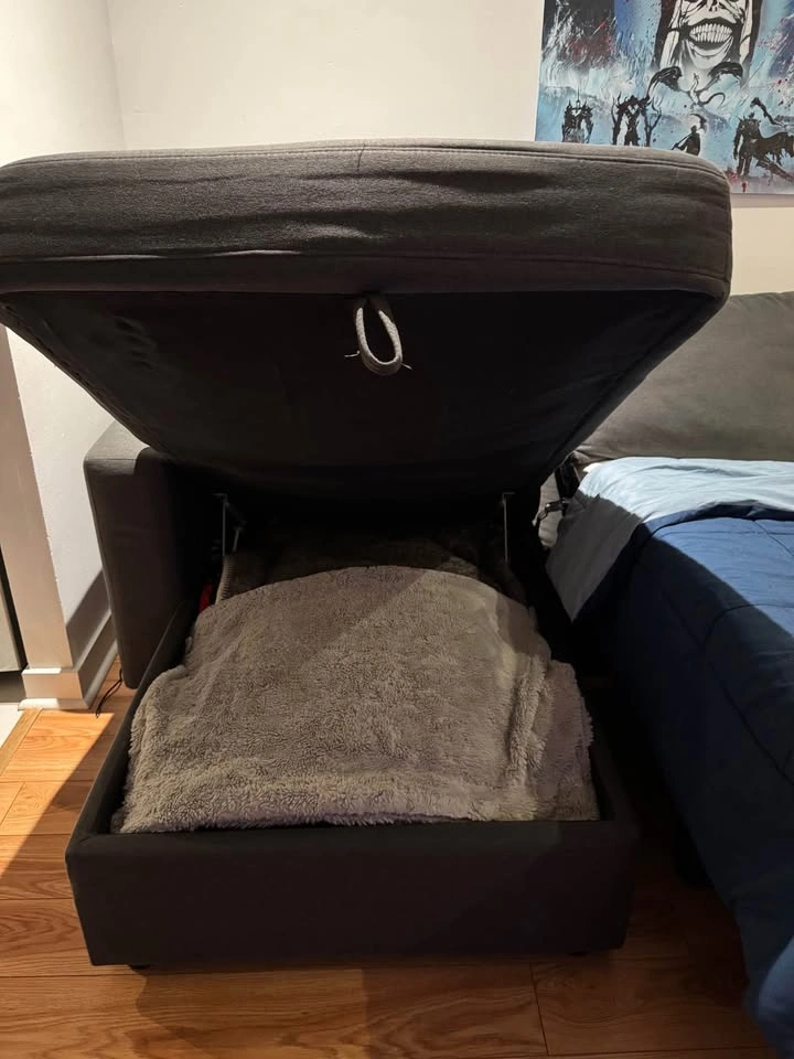 Sofa Bed / Pullout Couch with Storage - photo 3