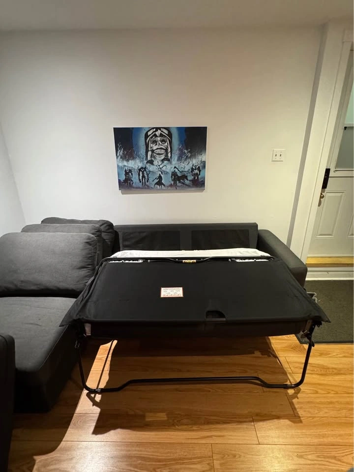 Sofa Bed / Pullout Couch with Storage - photo 4