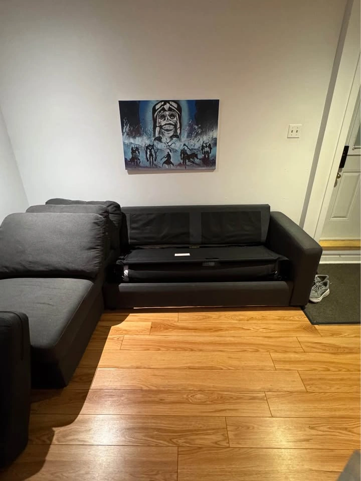 Sofa Bed / Pullout Couch with Storage - photo 5