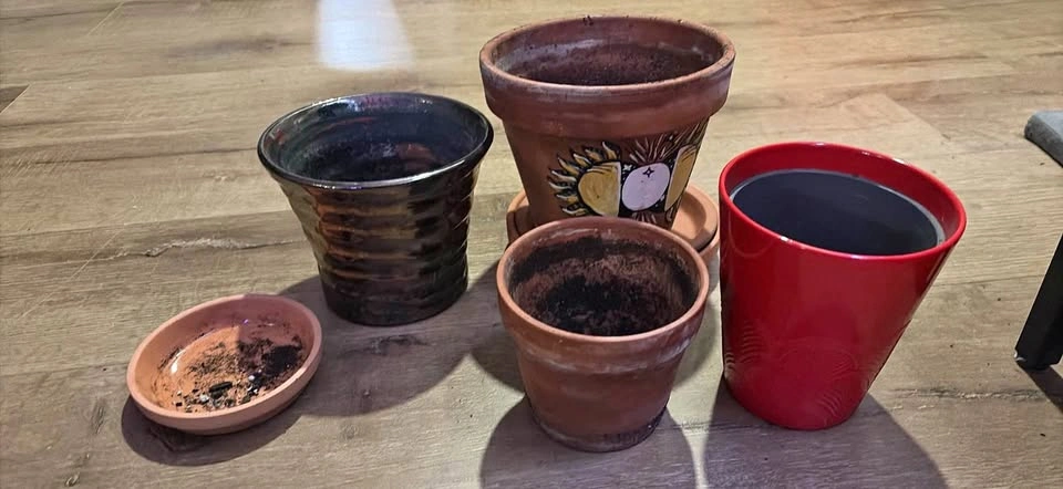 Plant pots