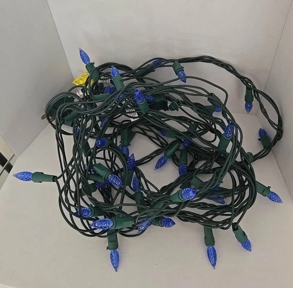 LED String Lights – Blue Bulbs (Indoor/Outdoor) - photo 2