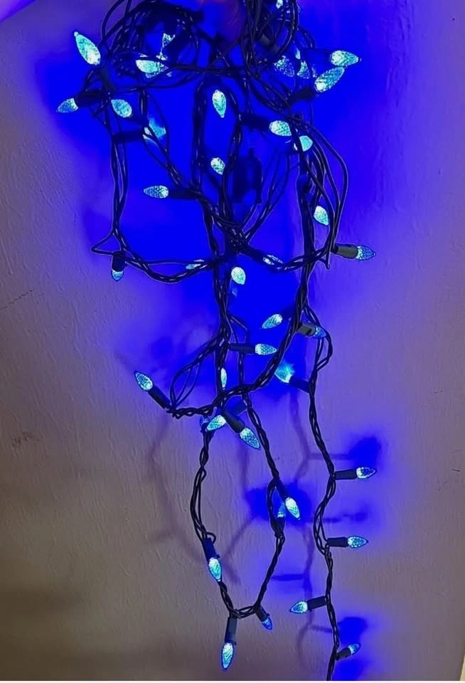 LED String Lights – Blue Bulbs (Indoor/Outdoor) - photo 3