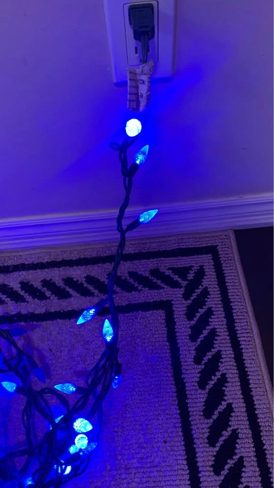 LED String Lights – Blue Bulbs (Indoor/Outdoor) - photo 4