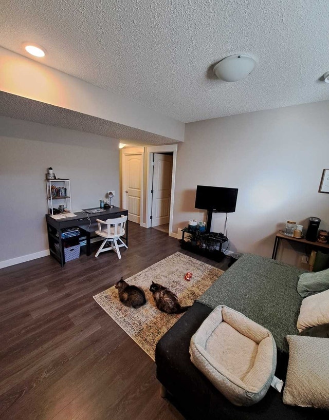 Basement suite- All Utilities included