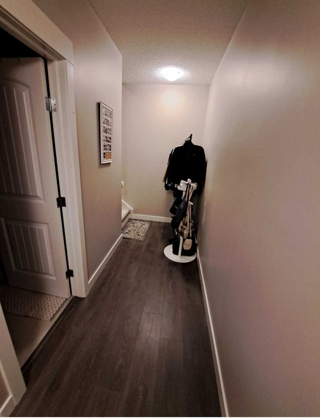 Basement suite- All Utilities included - photo 2