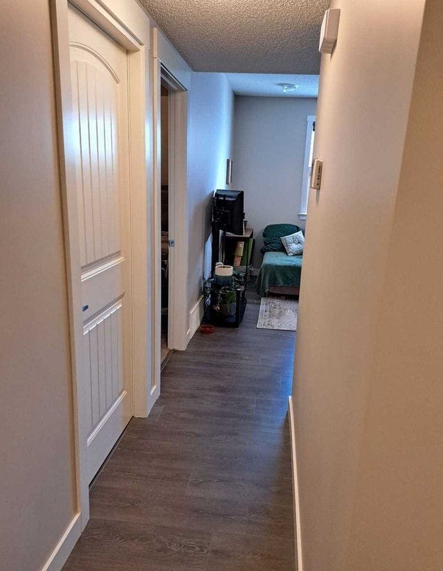 Basement suite- All Utilities included - photo 4