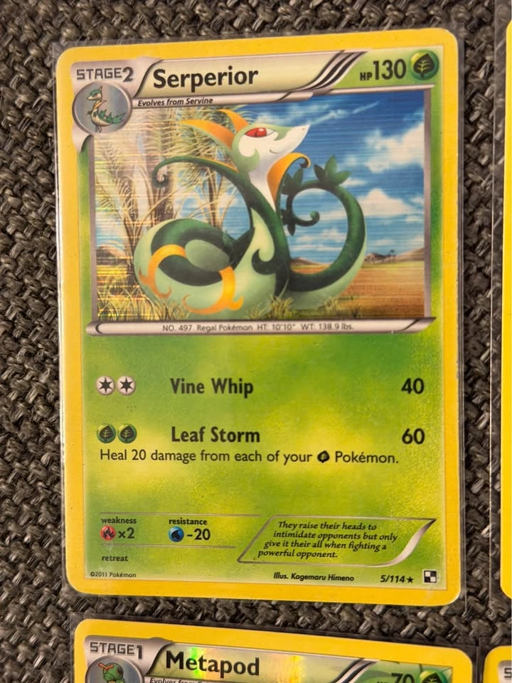 Mid Era Pokemon - Rare Grass Type Holos - photo 2