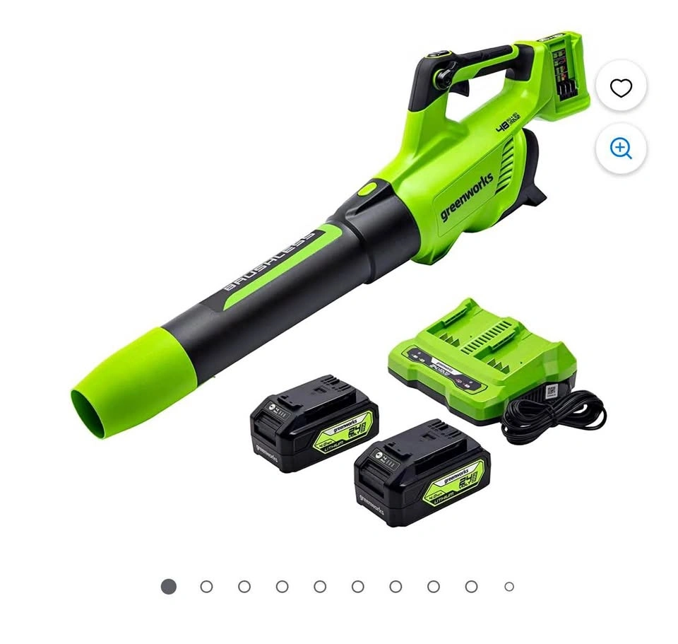 CORDLESS BLOWER GREENWORKS 2 BATTERIES