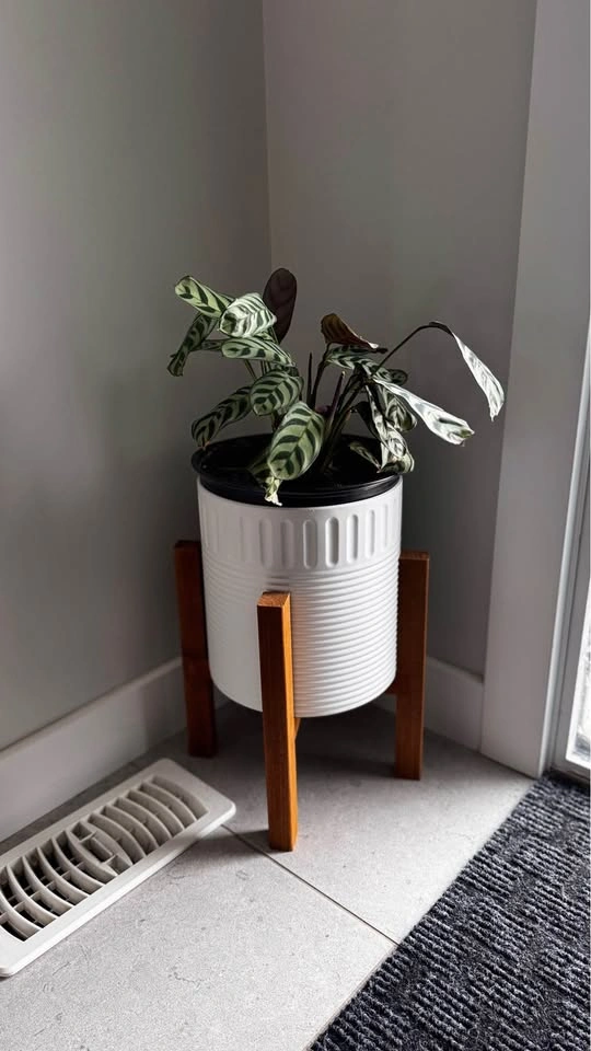 INDOOR OUTDOOR PLANT - photo 3