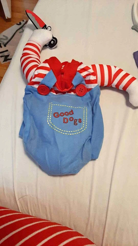 Dog Costume