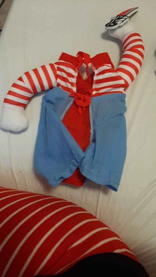 Dog Costume - photo 2