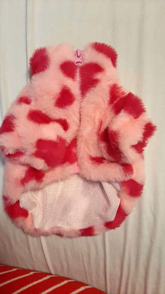 Dog jacket