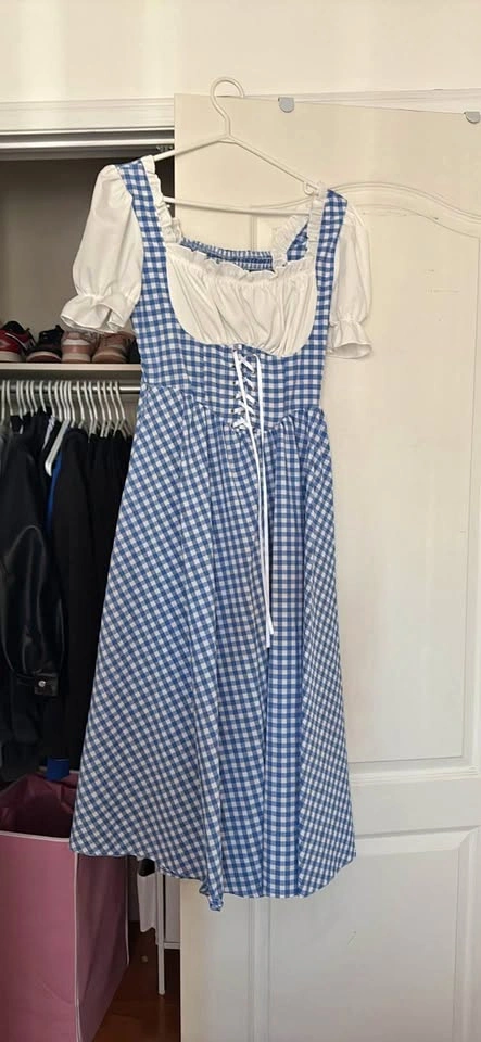 Blue & White Checkered Dress (dorothy costume)