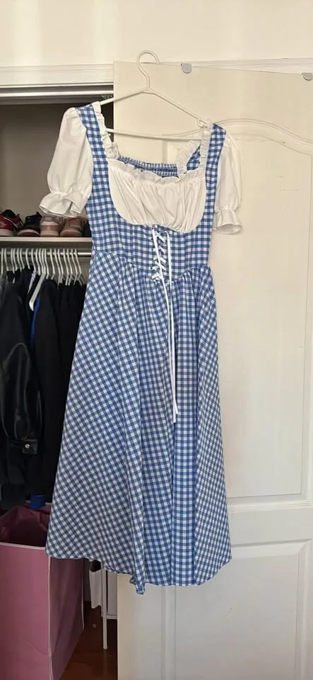 Blue & White Checkered Dress (dorothy costume)