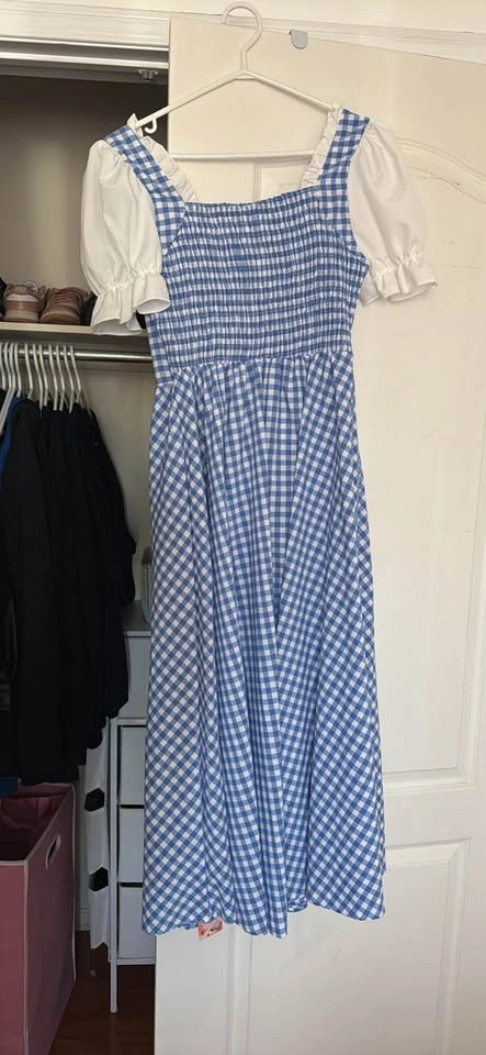 Blue & White Checkered Dress (dorothy costume) - photo 2