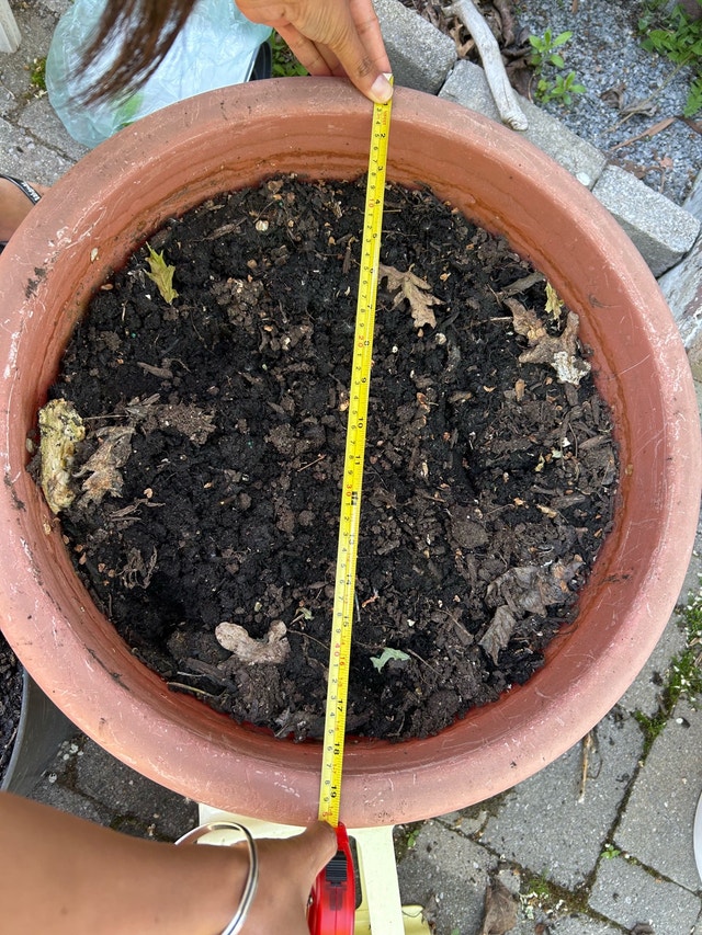 Red large planter pot