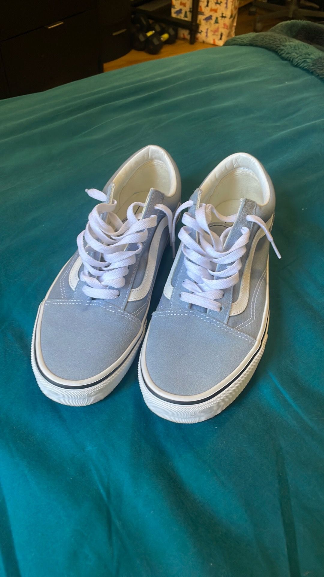 Vans old skool shoe