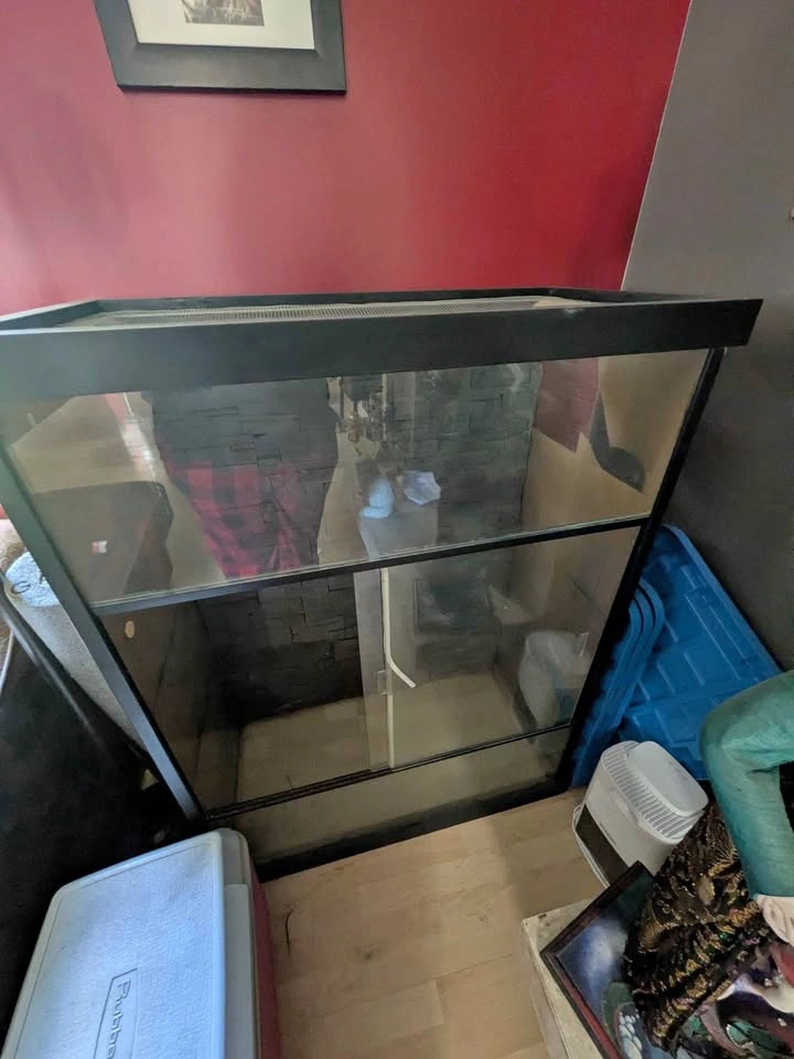 Custom Large Terrarium 4 ft by 3ft (MUST PICK UP)