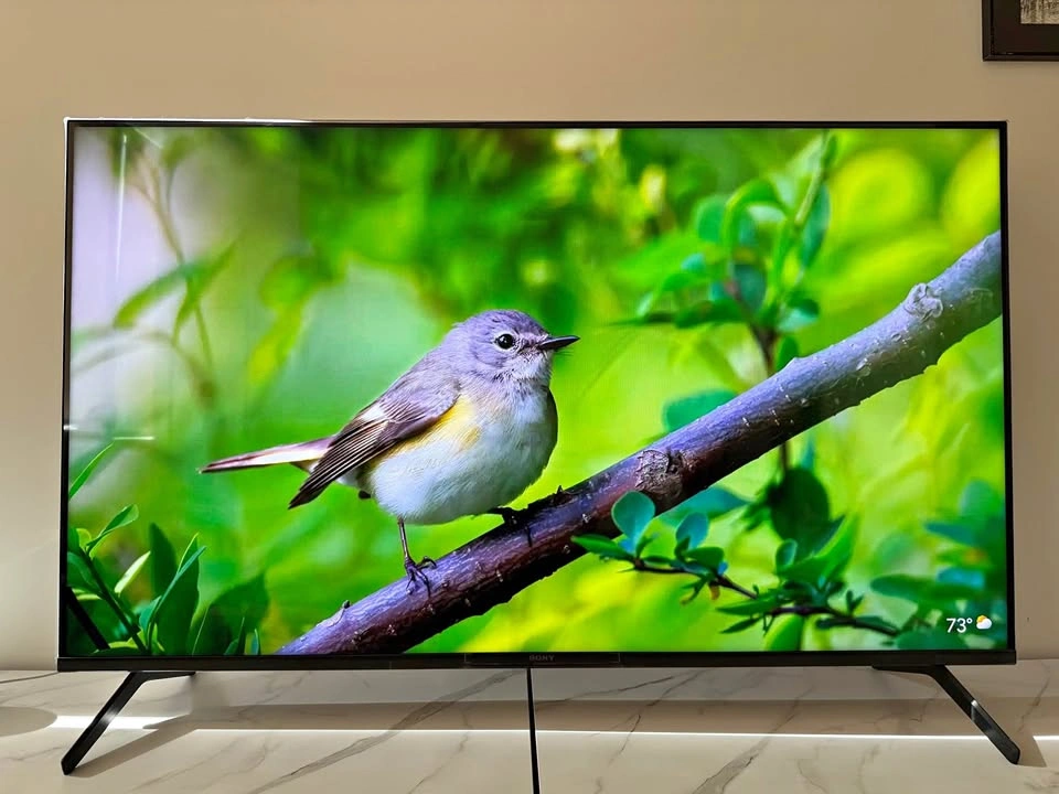 Sony BRAVIA 4K TV 55”