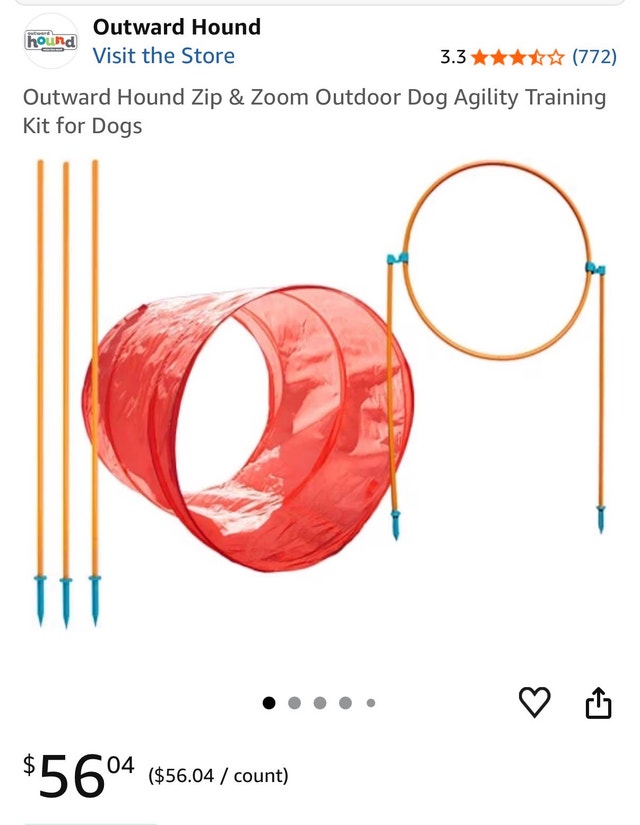 Dog Agility Set (outward hound)