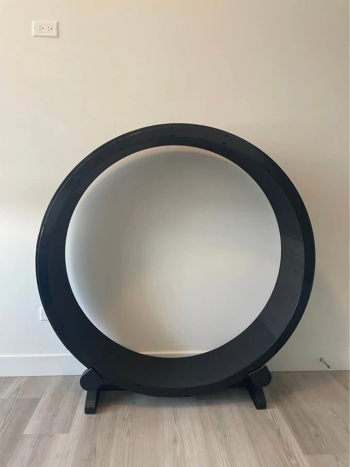 Cat exercise wheel - photo 2