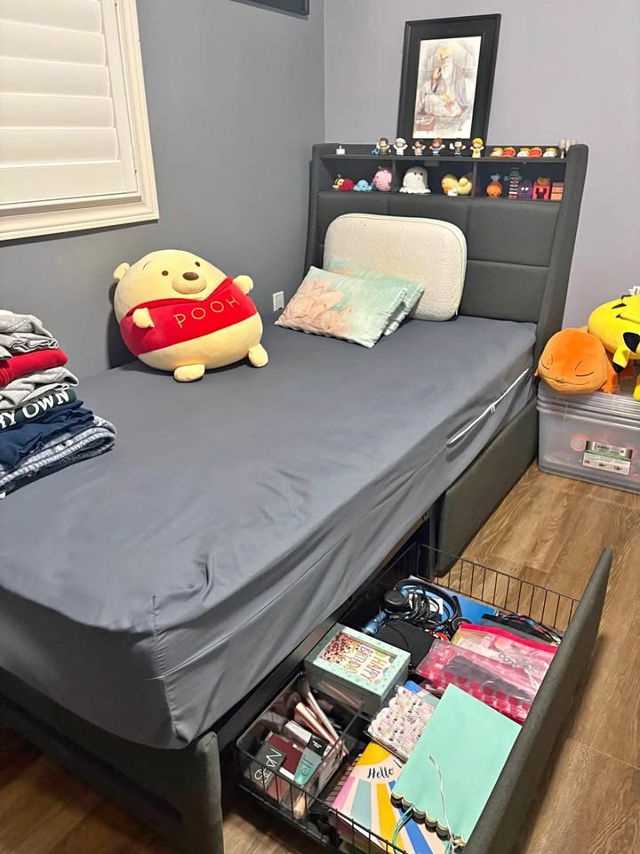 Rolanstar Twin Bed Frame with Storage, Charging Station & Mattre