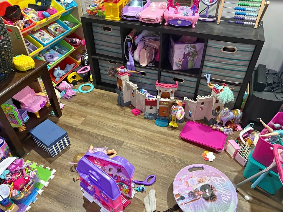 TOY CLEAN OUT