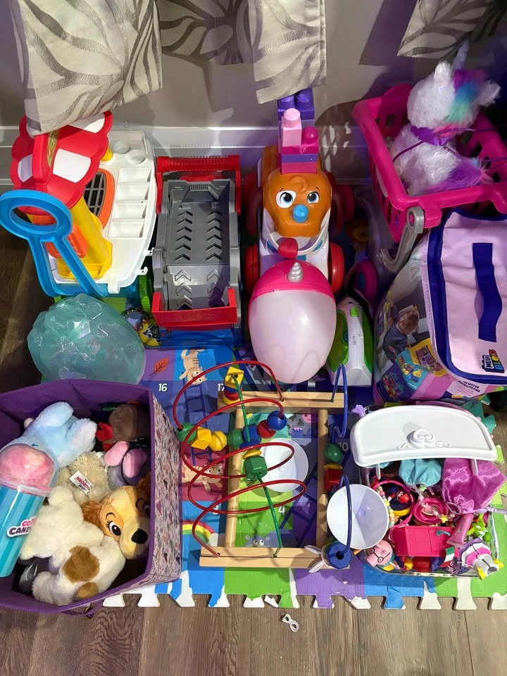 TOY CLEAN OUT - photo 2