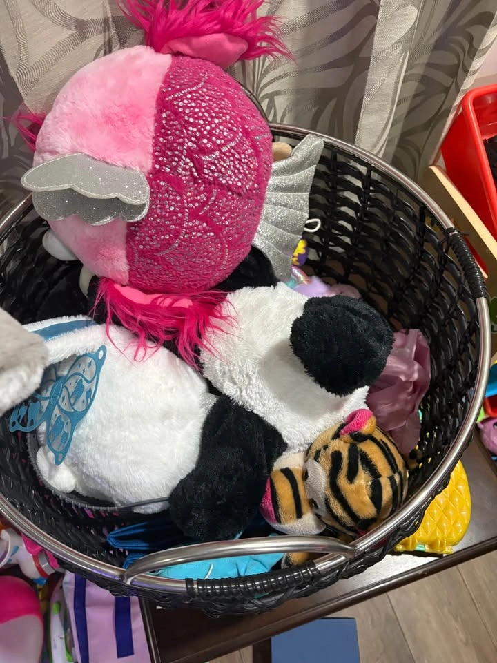 TOY CLEAN OUT - photo 3