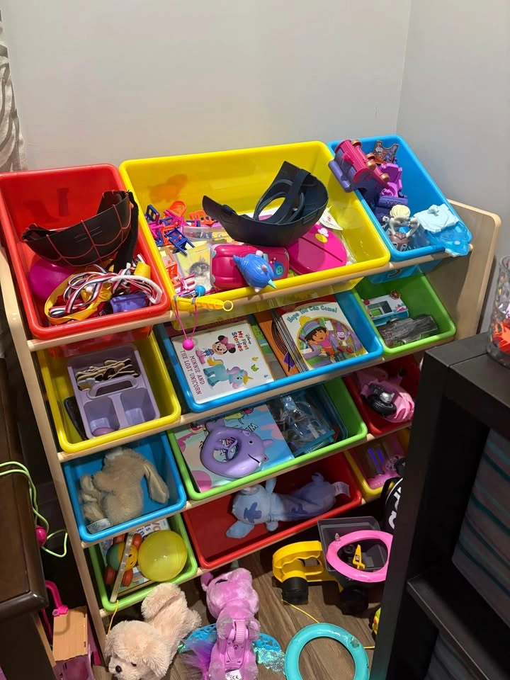 TOY CLEAN OUT - photo 4