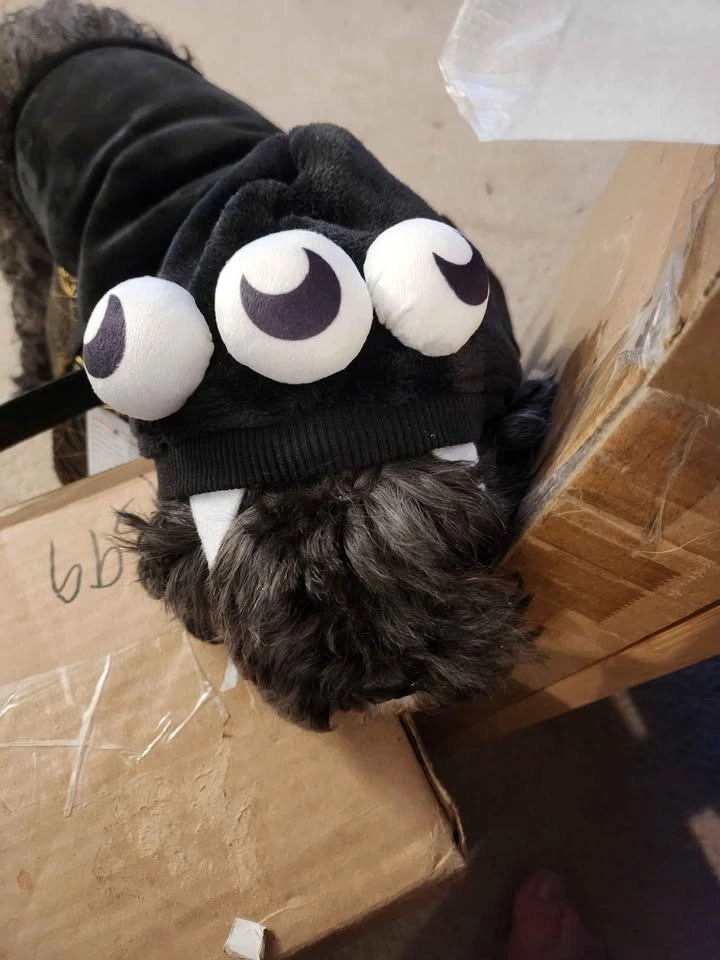 Dog Halloween costume - photo 3