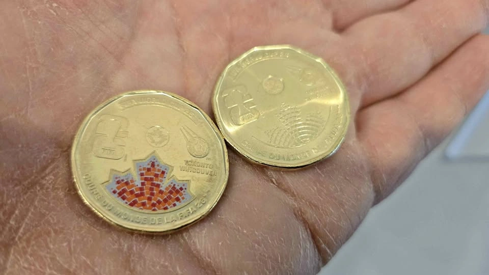 Fifa Loonie