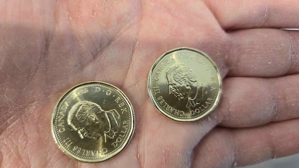 Fifa Loonie - photo 2